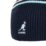 bleu foncé