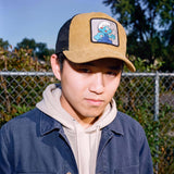 gelb (male-model)