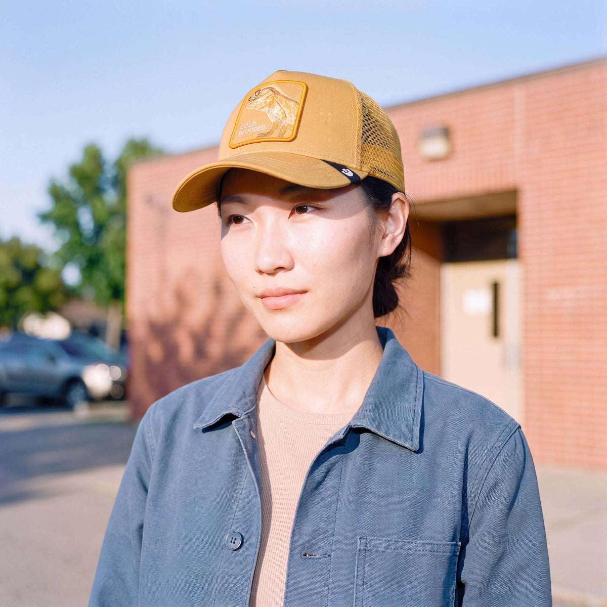 gelb (female-model)